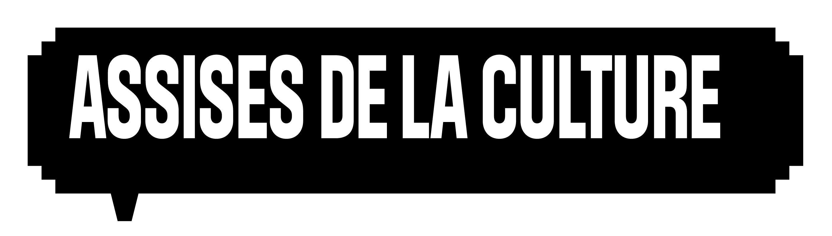 assises_01-1_logo_noir_rvb